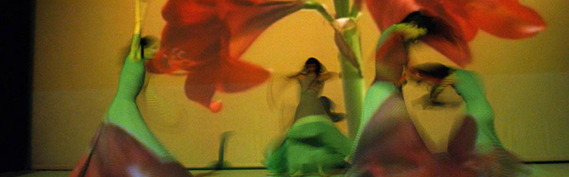 ΣΥ.ΒΙ.Π.ΕΚ. ΚΟΙΝ.Σ.ΕΠ. Φωτογραφίες παραστάσεων