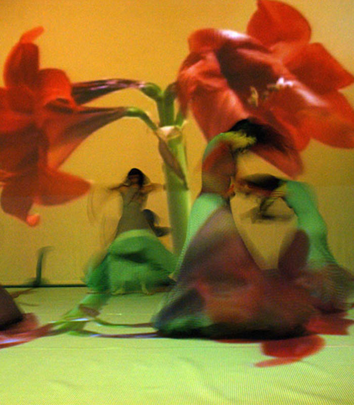 ΣΥ.ΒΙ.Π.ΕΚ. ΚΟΙΝ.Σ.ΕΠ. Φωτογραφίες παραστάσεων